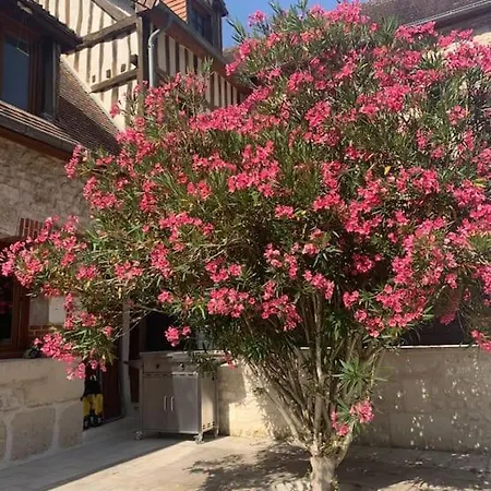 Belle Propriete En Bord De Seine *